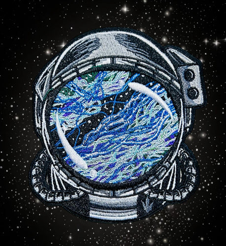 Veil Nebula 🚀👩‍🚀 [11.14.24][7pm cst]