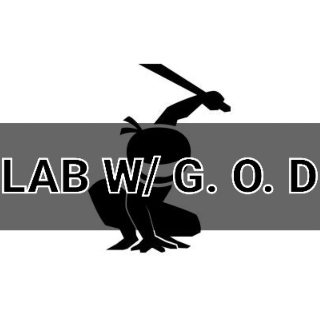 Lab with G. O. D [ 9/30 ]